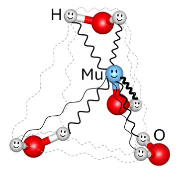 Mystery of Muon Behavior in Ice Solved<br /> - Quantum Effects Reveal the Key to a More Than 50-Year-Old Enigma - 