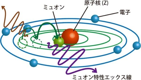 素粒子ミュオンを使うイメージングや元素分析の研究開発を加速<br />〜「経済安全保障重要技術育成プログラム」にKEKから3件採択、3件分担 〜